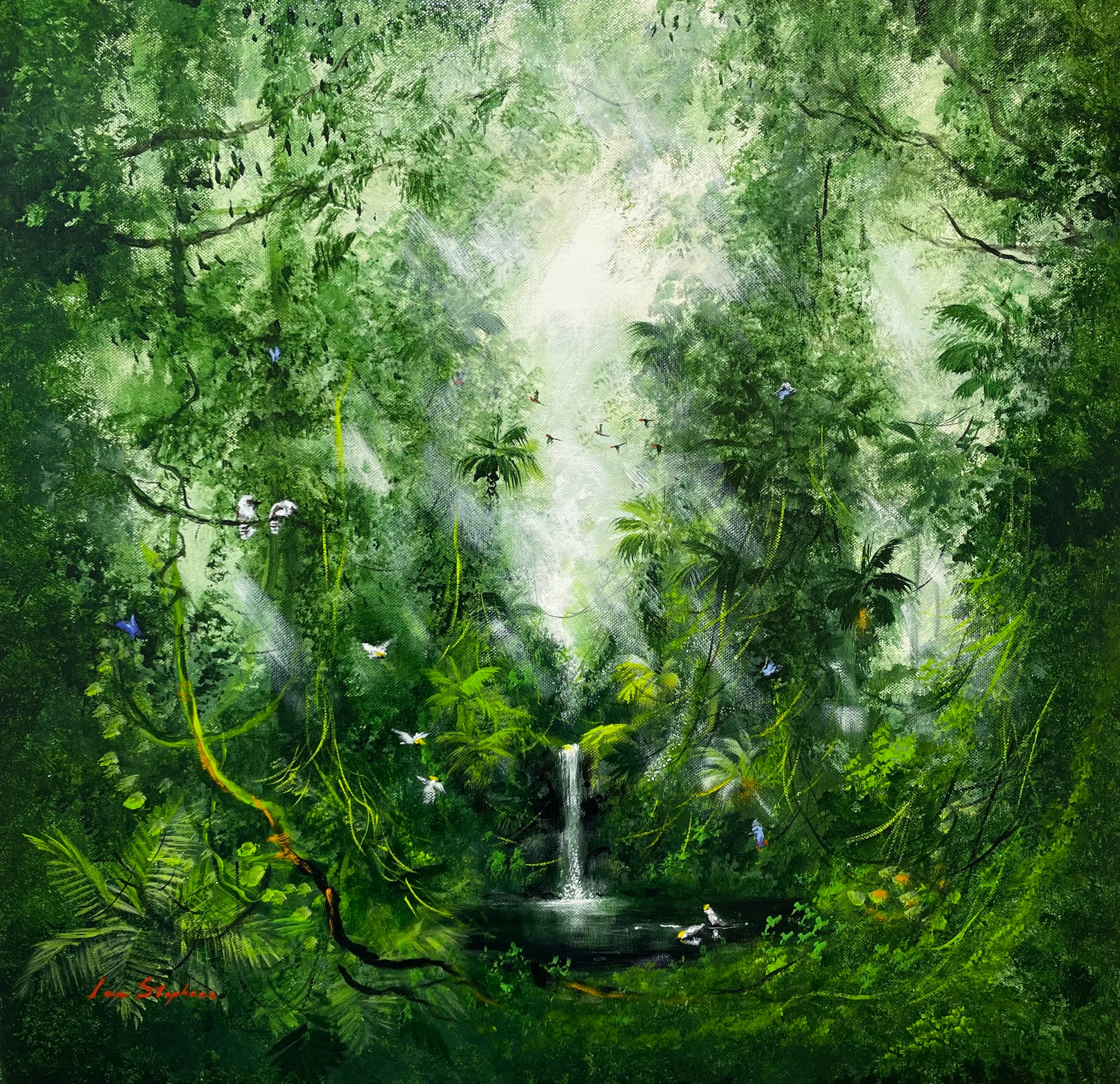 Cockatoos' in the Rainforest