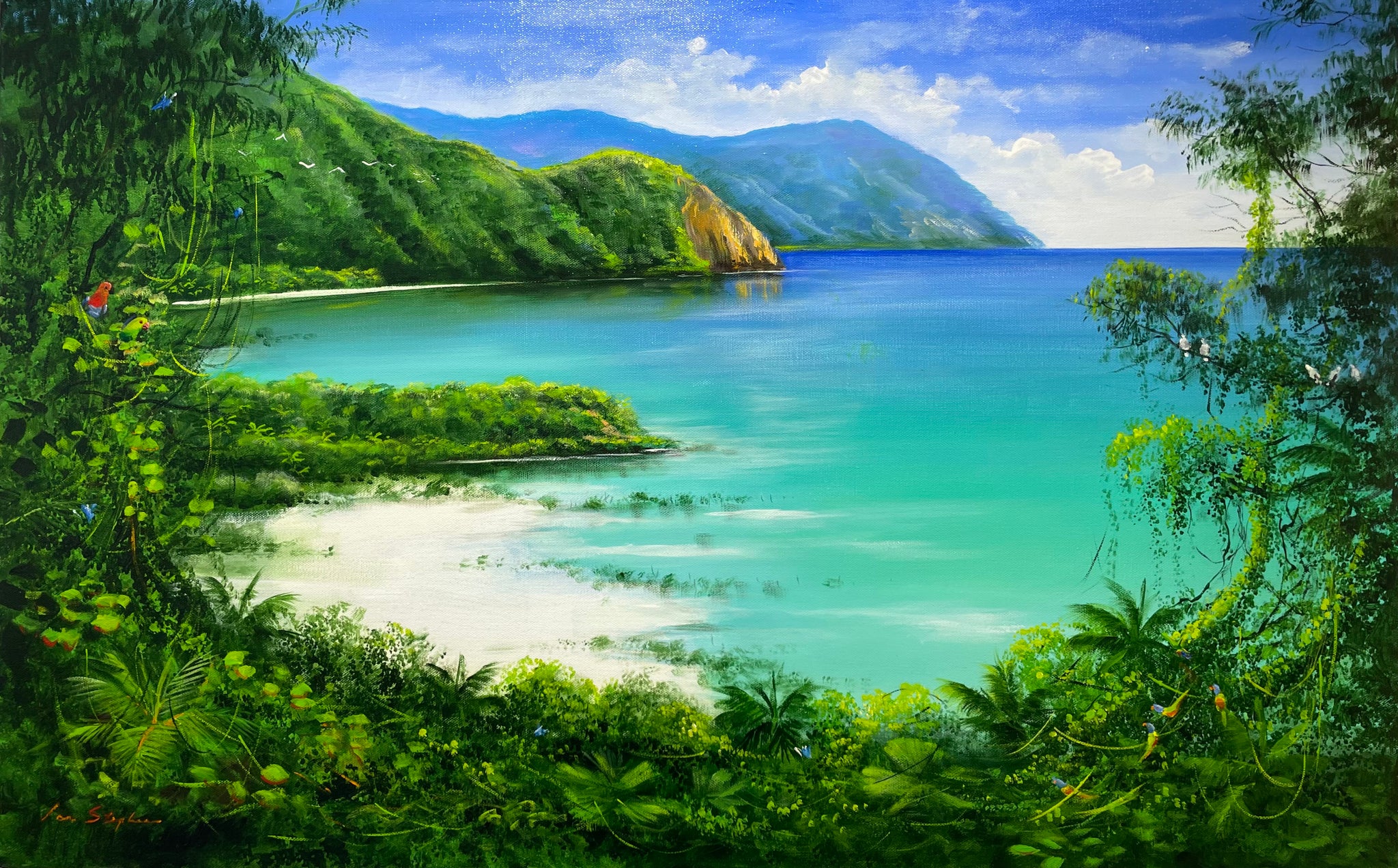 Eclectus Parrots overlooking Donovans Beach - Cape Tribulation