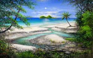 Ian Stephens Fine Art, Far North Queensland, Coral Coast Bird Life, Beach Life, Tropical Nature, Wall Art, Visual Art, Original Australian Painting