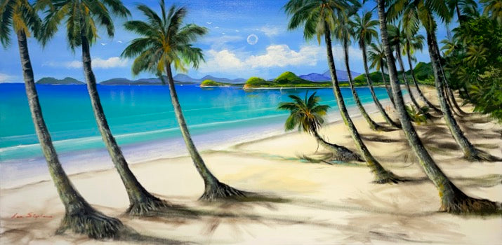 Looking South from Palm Cove