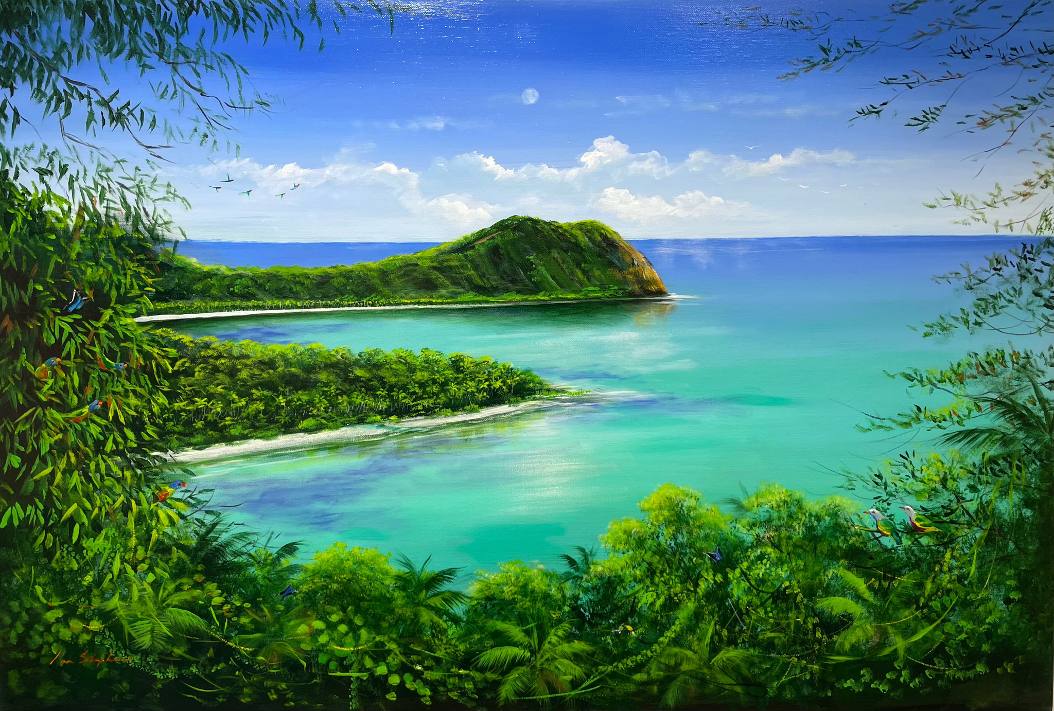 Ian Stephens Fine Art Cape Tribulation, Australian Native Birds, Coral Coast North Queensland Australia